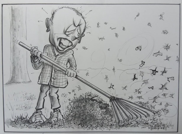 Irate man raking leaves in wind image